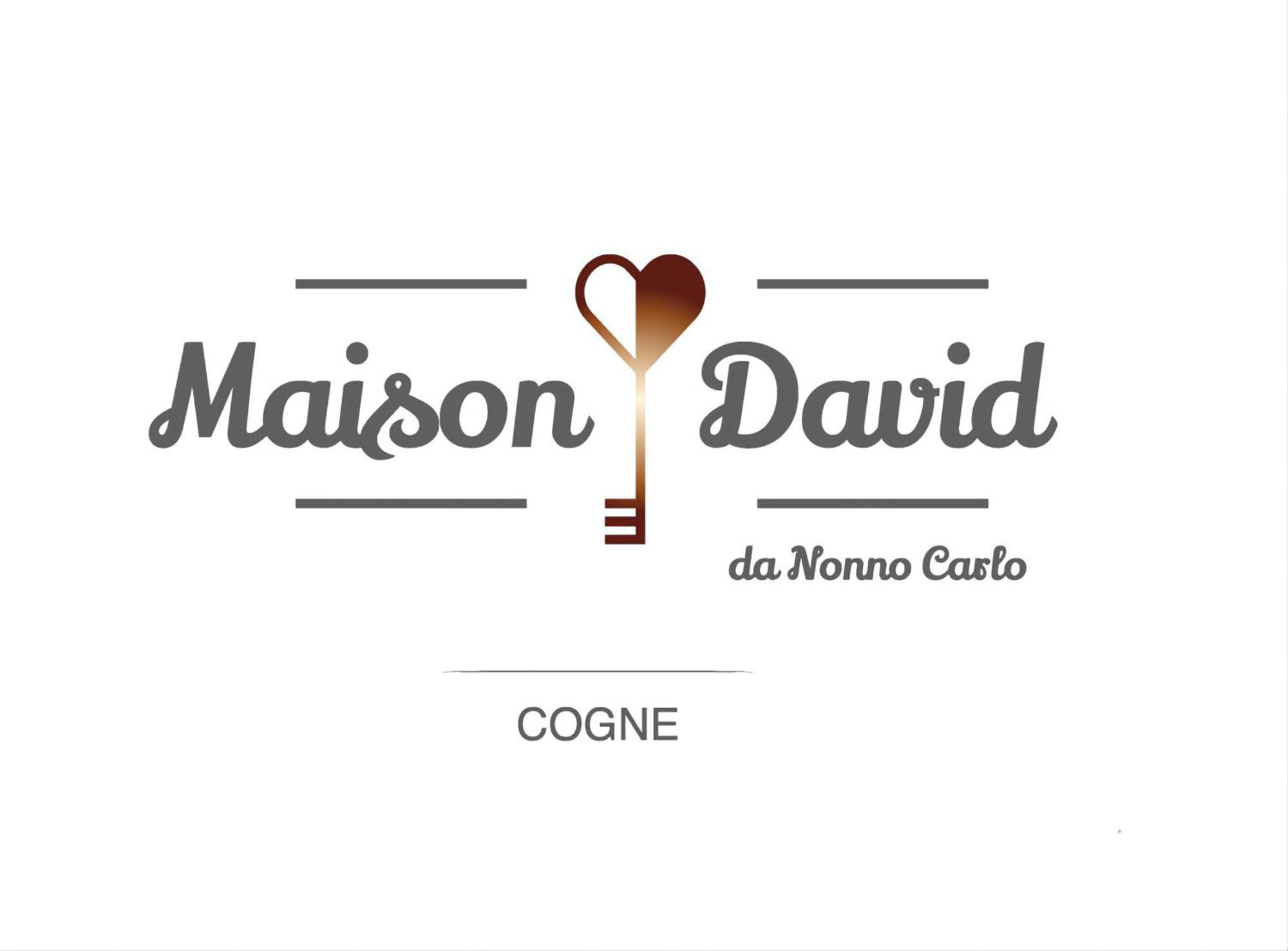 MAISON DAVID - da Nonno Carlo Cogne Eksteriør billede